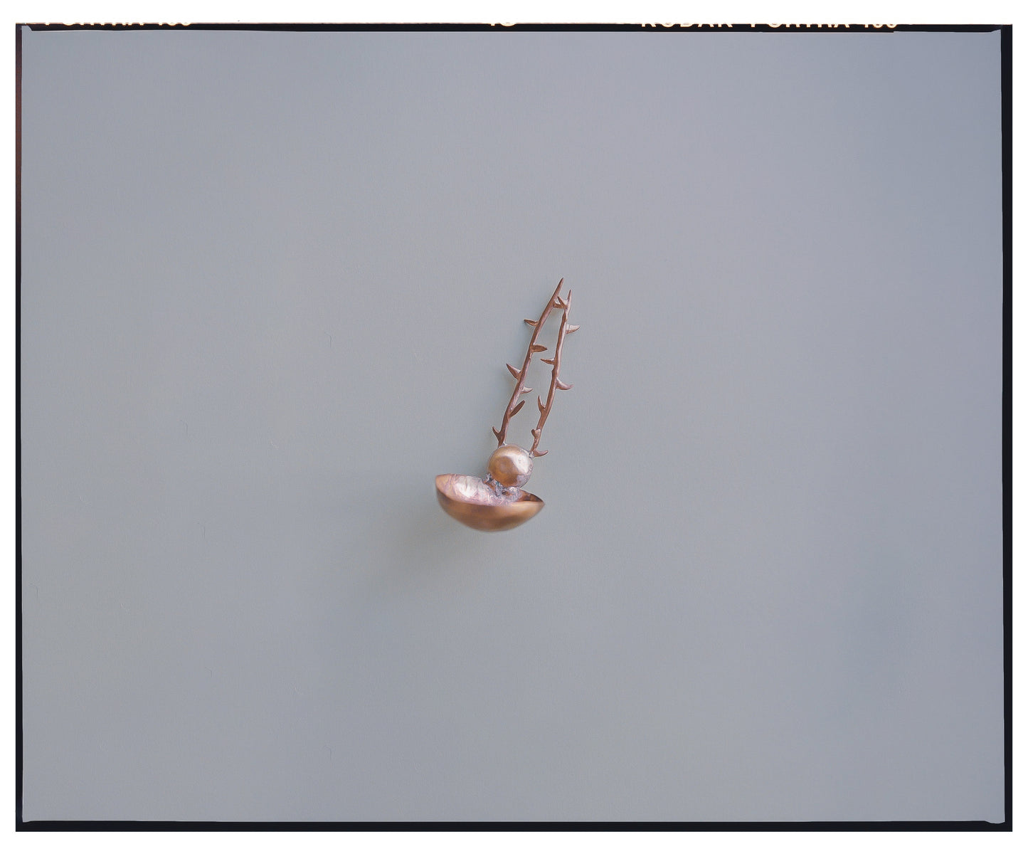 mala-cara collaboration : playground