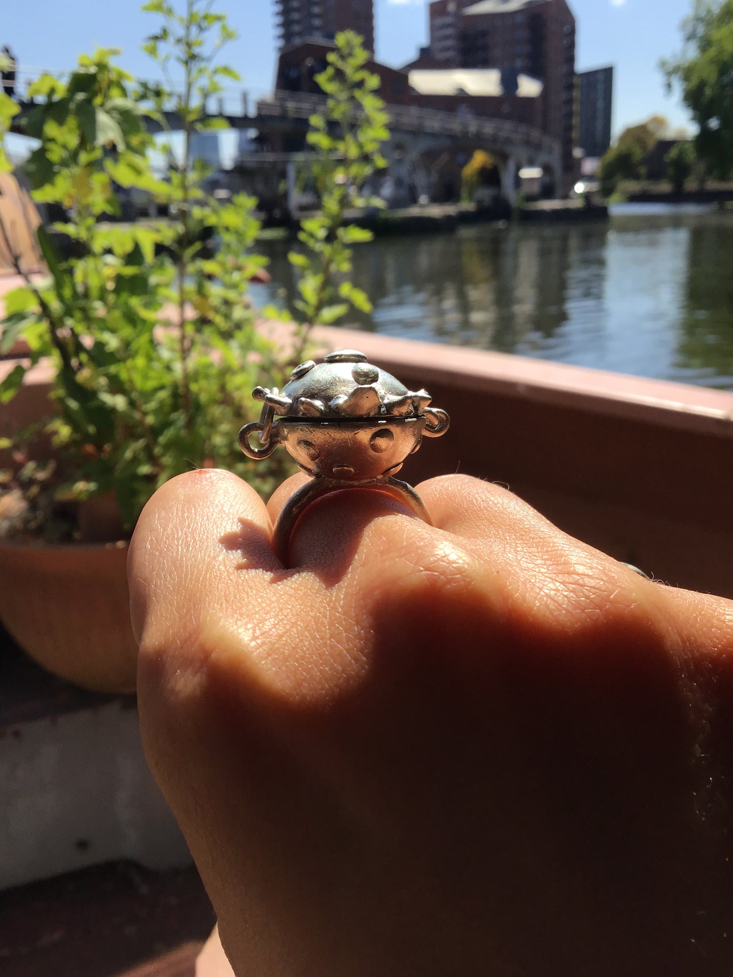 goblin ring with star brain