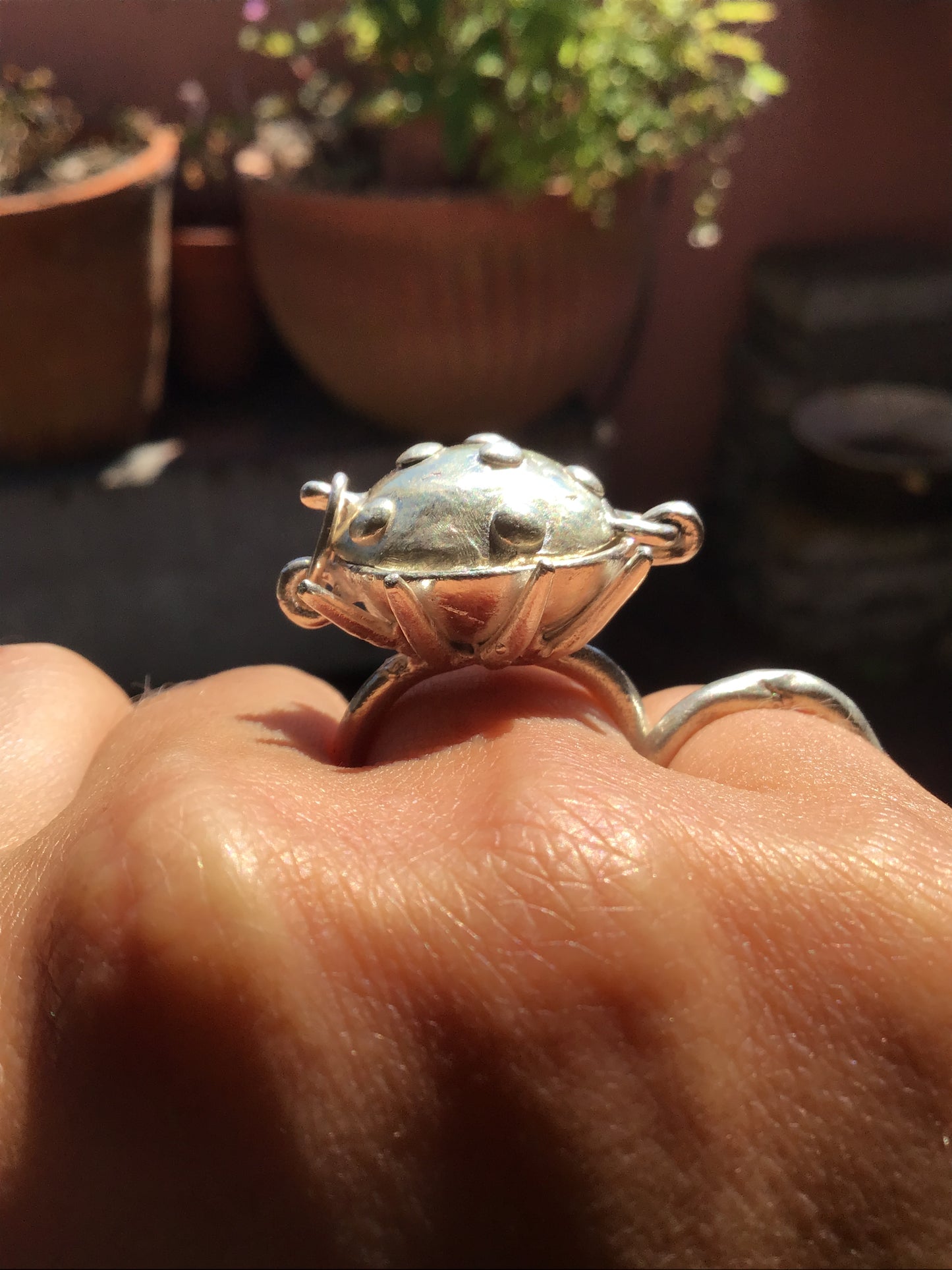 spotted fruit medicine ring