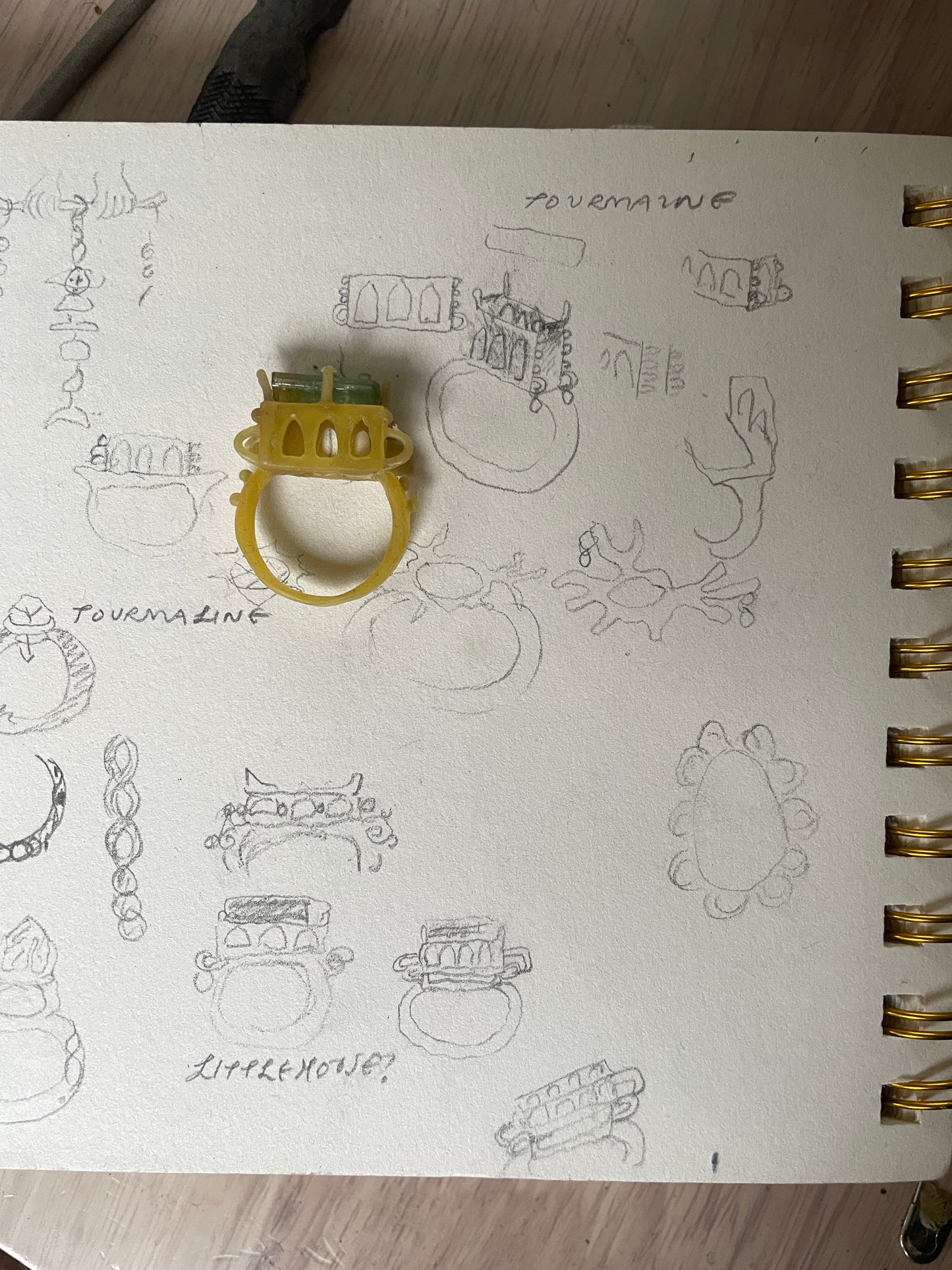 pond water house ring