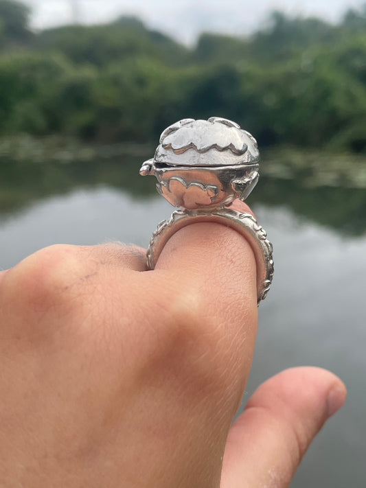 night ring