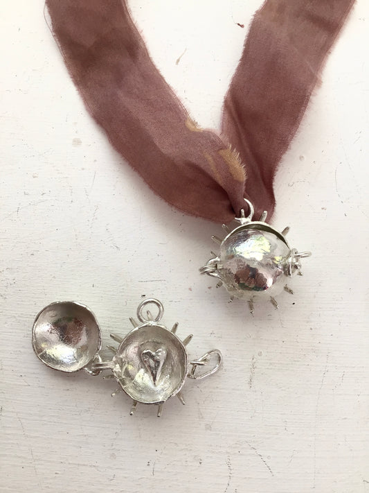 medicine locket