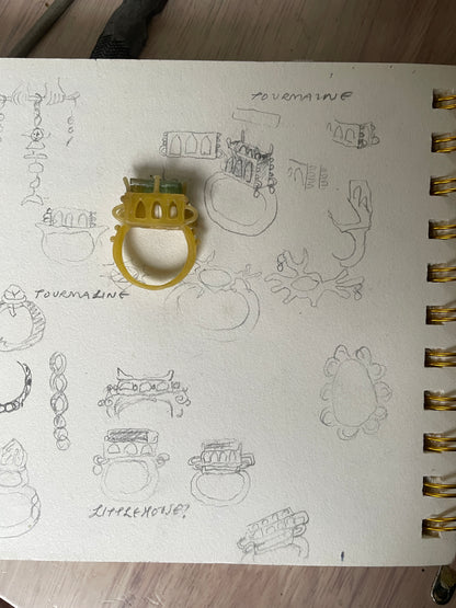 pond water house ring