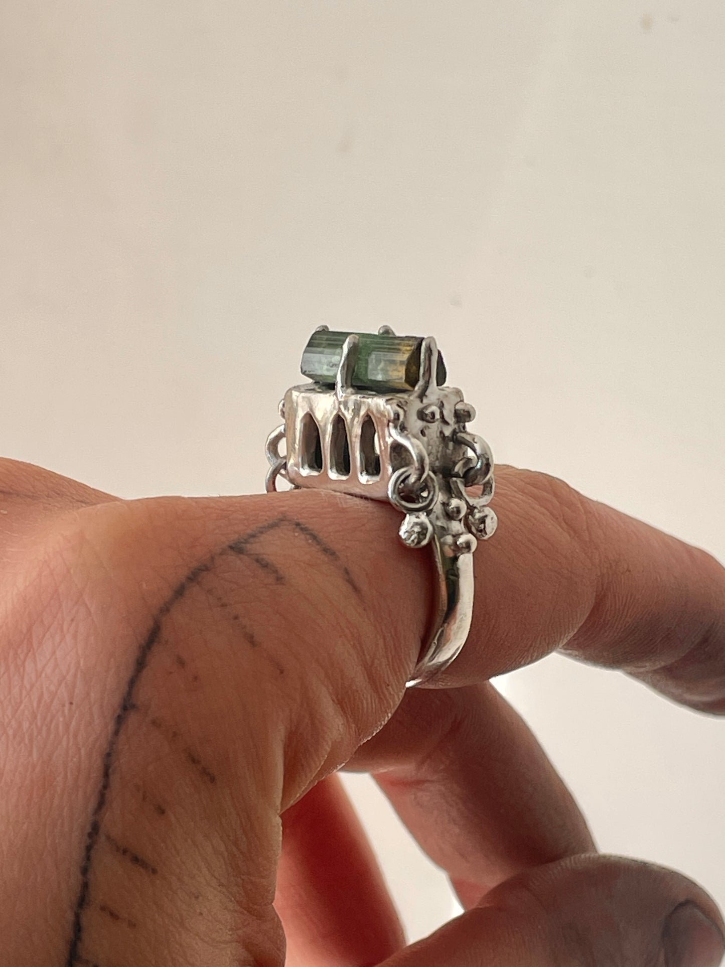 pond water house ring