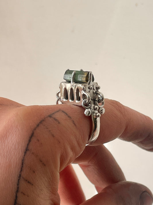 pond water house ring
