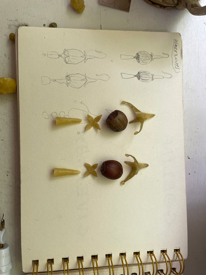 hazelnut ears